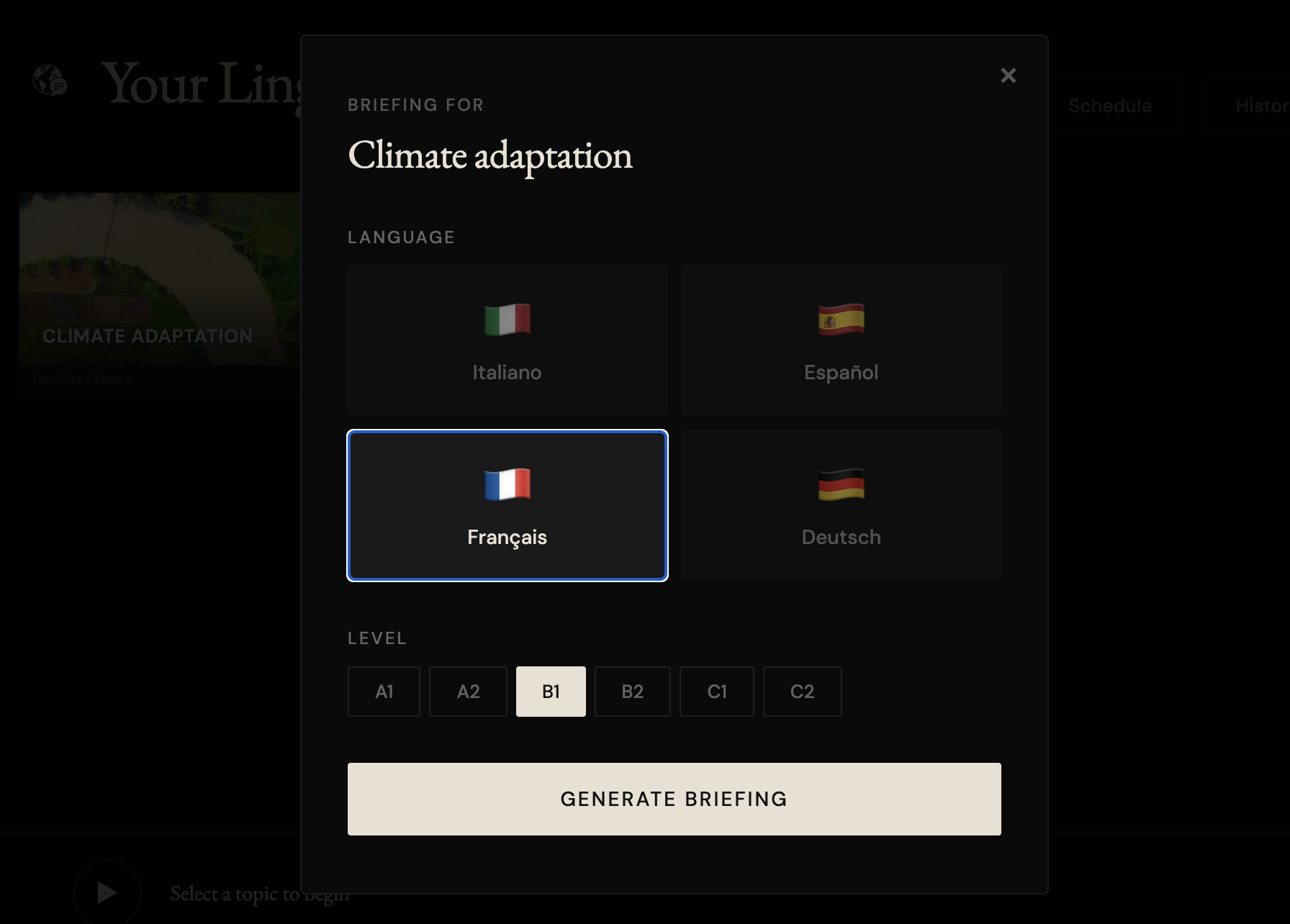 YourLingua screenshot