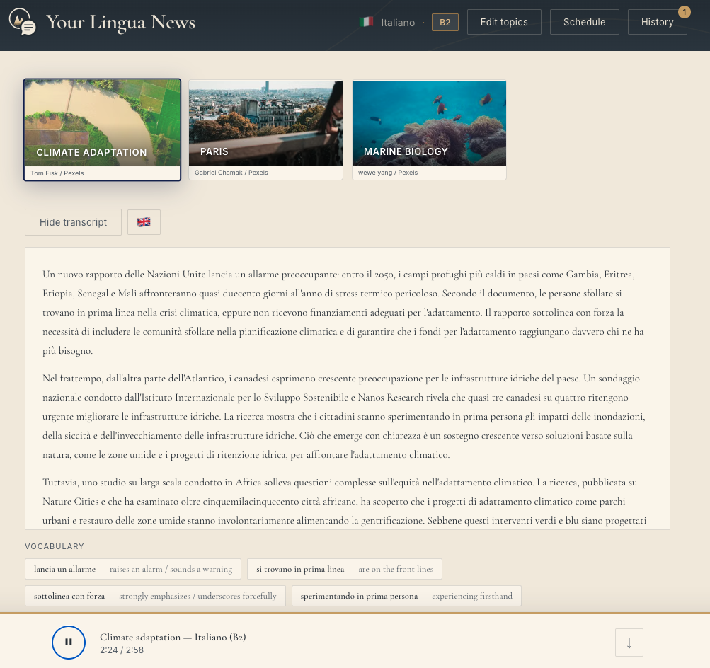 Your Lingua News screenshot